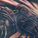 tattoo galleries/ - Song Bird and Roses 